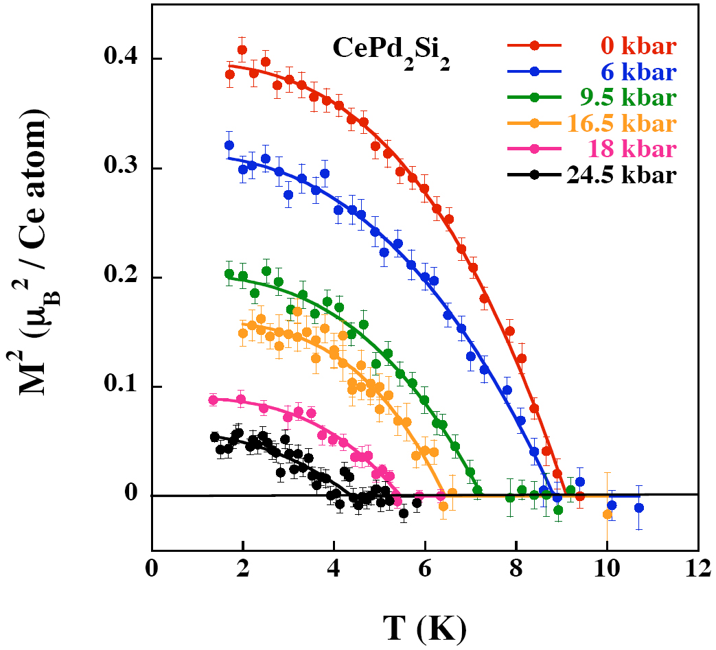 Pressure variation of the staggered magnetisationThis provides both the variation of the Néel temperature and the shape of the order parameter.